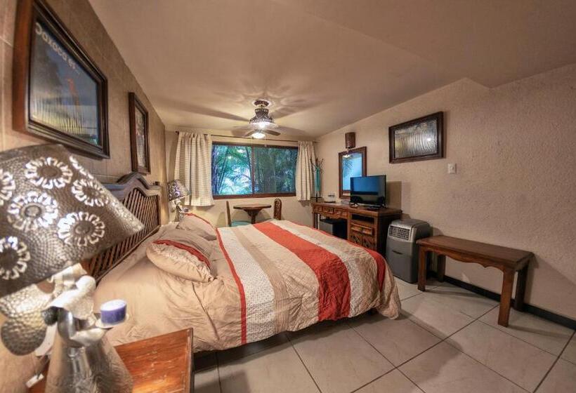 اتاق لوکس, Casa Yunenisa