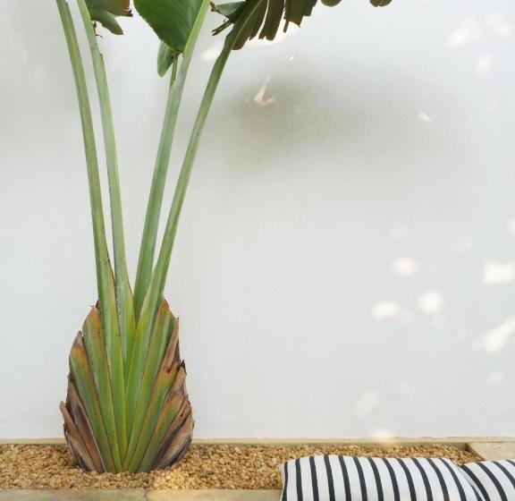 豪华海景房, Arabella On Boossa