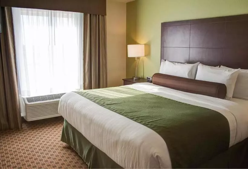 身障者適用キングサイズベッドルーム, Cobblestone Hotel And Suites   Jefferson