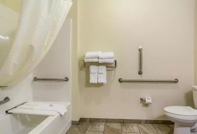 身障者適用キングサイズベッドルーム, Cobblestone Hotel And Suites   Jefferson