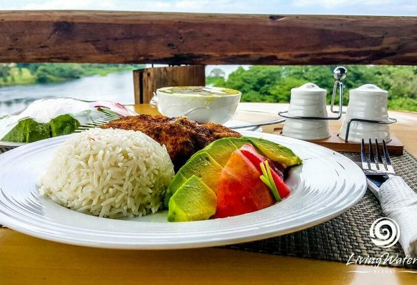 اتاق استاندارد با بالکن و چشم‌انداز دریا, Living Waters Resort