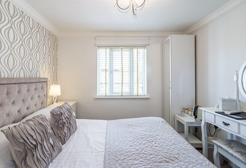 标准间, Hamiltons Boutique