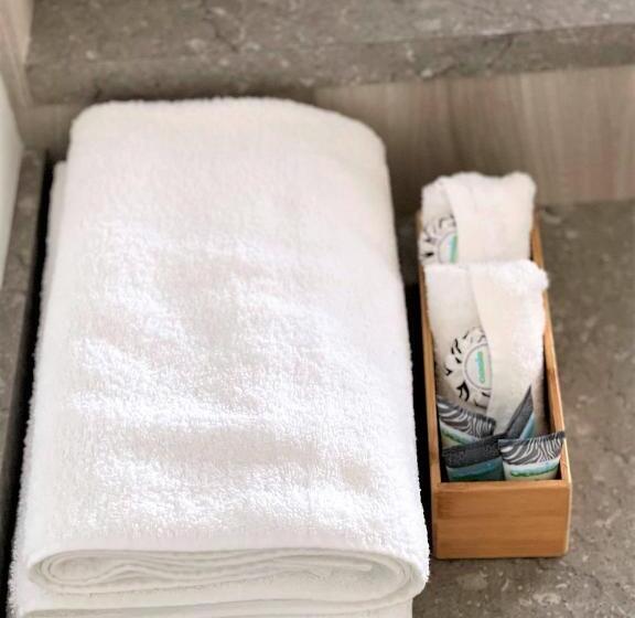 适用于残疾人士的豪华房间, Childers Oasis Motel