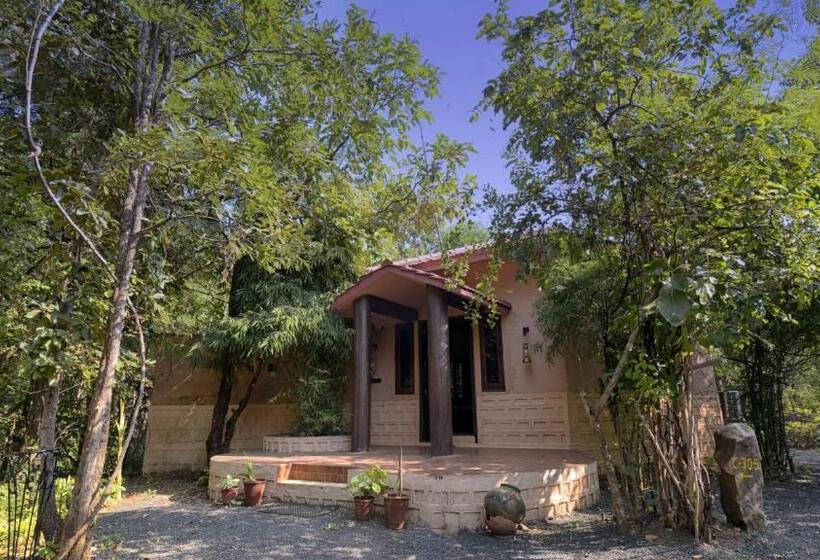 패밀리 스위트, Pench Jungle Camp