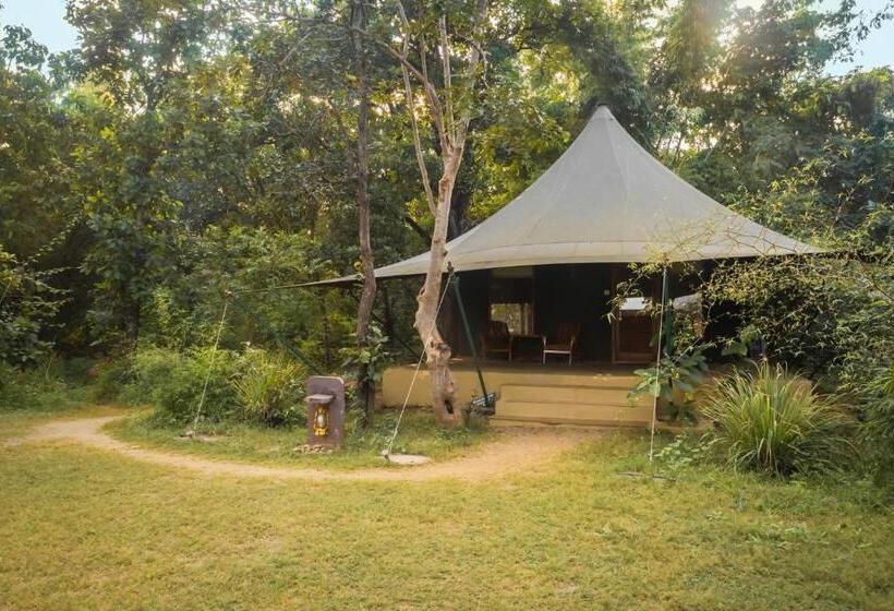Deluxe Tent, Pench Jungle Camp