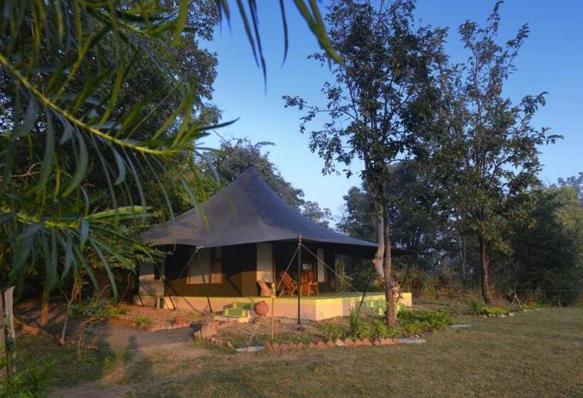Deluxe Tent, Pench Jungle Camp