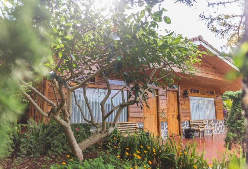Deluxe Bungalow, Zen Valley Dalat