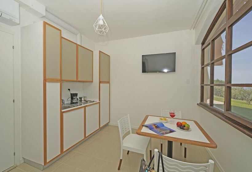 Апартаменты Superior 1 Спальня, Residence Arca