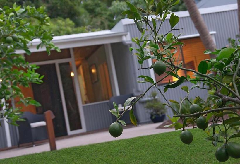 标准工作室, Gecko Shed