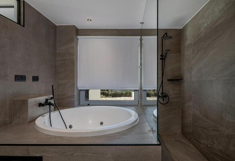 Апартаменты Deluxe 1 Спальня, Icarus