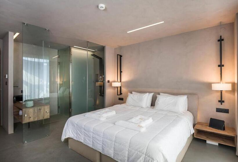 Номер Стандарт, Icarus