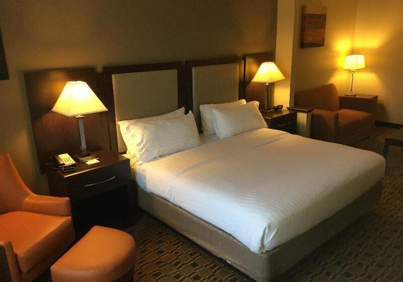 高级工作室, Riccarton Mall Motel