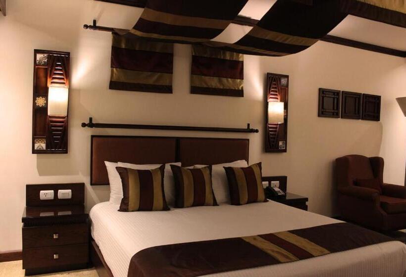 Habitación Individual Ejecutiva, Africana Hotel & Spa