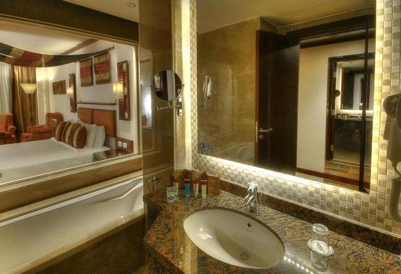 Habitación Individual Ejecutiva, Africana Hotel & Spa