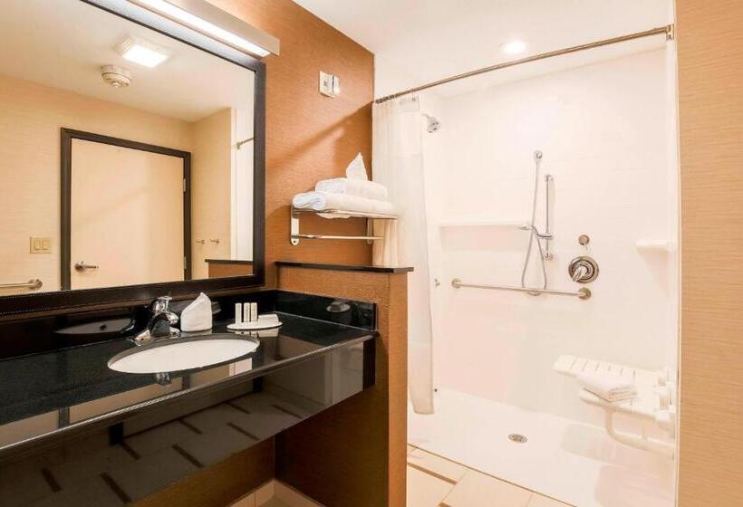 キングサイズベッドのスタンダードルーム, Fairfield Inn & Suites By Marriott Pleasanton