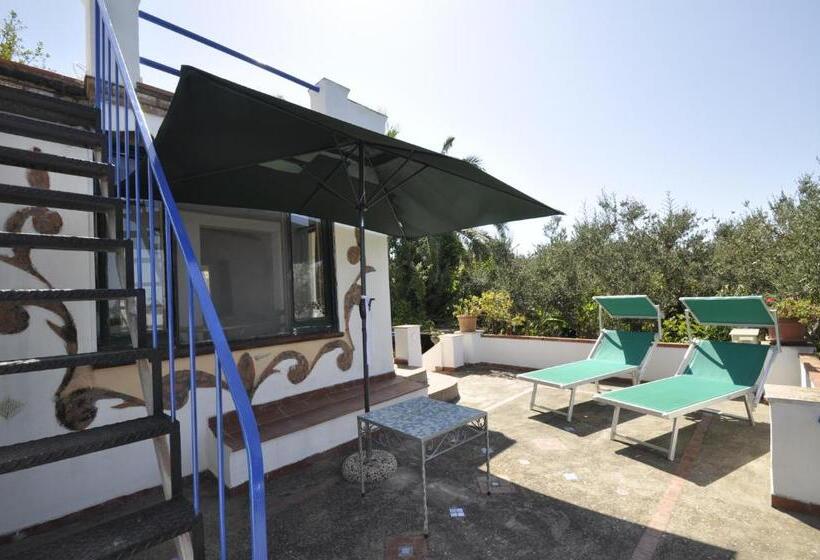 غرفة قياسية مطلّة علي البحر مزوَّدة بتراس, Villa Eva