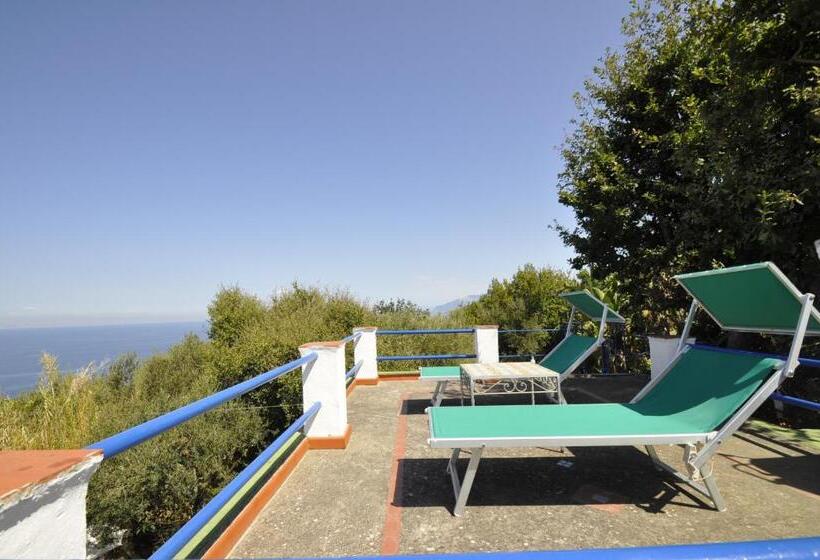 غرفة قياسية مطلّة علي البحر مزوَّدة بتراس, Villa Eva