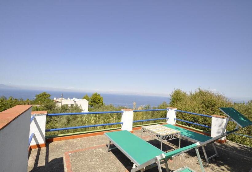 غرفة قياسية مطلّة علي البحر مزوَّدة بتراس, Villa Eva