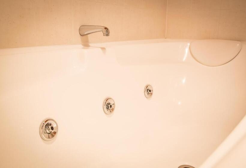 סטודיו אקזקיוטיב, Siena Motor Lodge