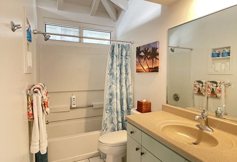 スタンダードルーム, Big Island Retreat