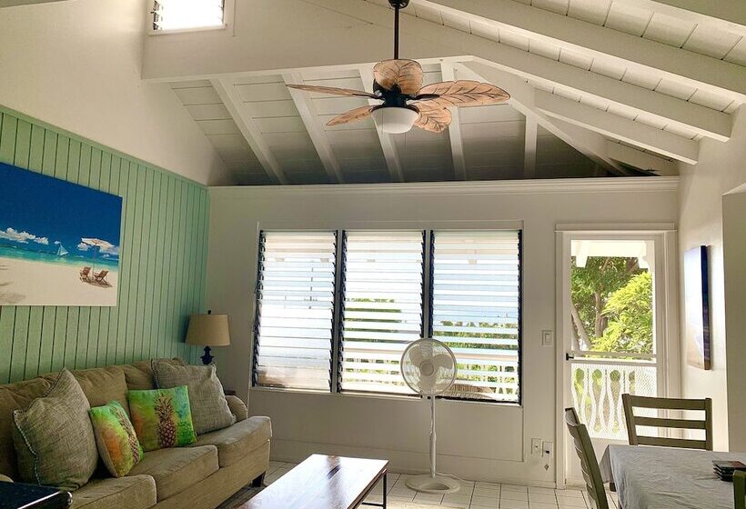 スタンダードルーム, Big Island Retreat