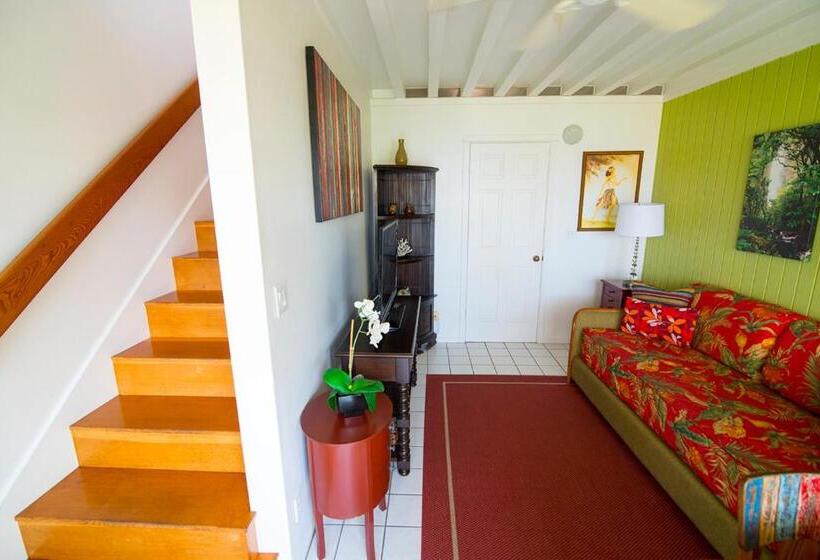 Люкс Вид на Море, Big Island Retreat