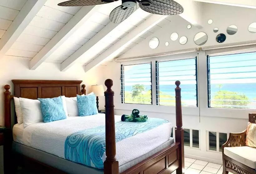 سوییت با چشم‌انداز دریا, Big Island Retreat