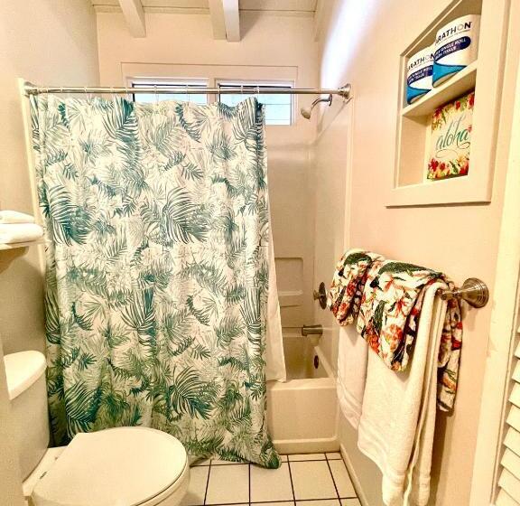 オーシャンビュースイート, Big Island Retreat