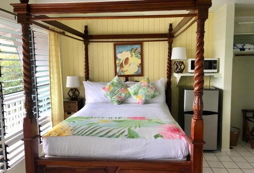 Номер Стандарт, Big Island Retreat
