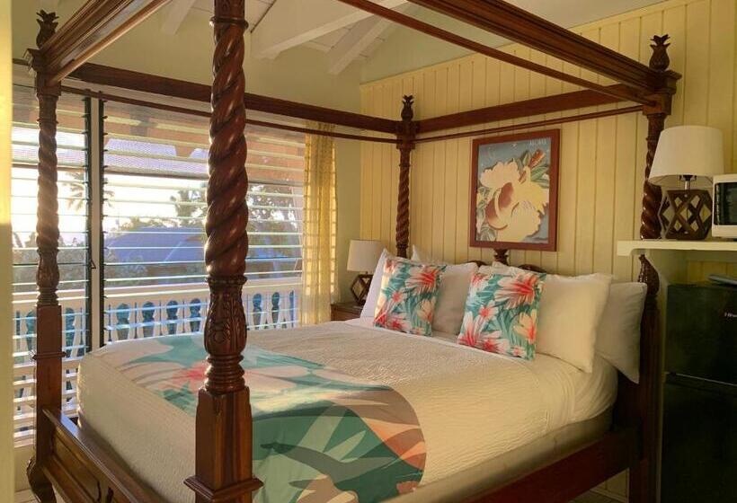 スタンダードルーム, Big Island Retreat