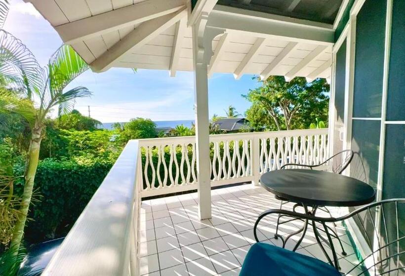 Номер Стандарт, Big Island Retreat