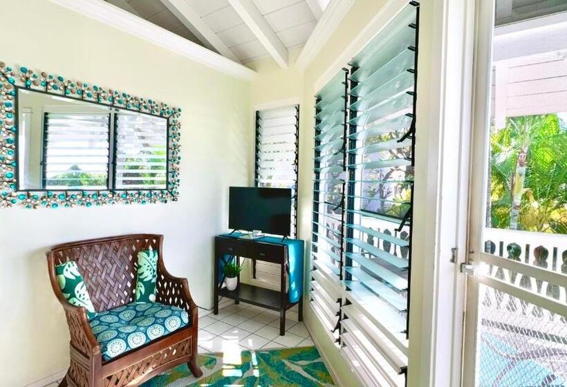 Номер Стандарт, Big Island Retreat