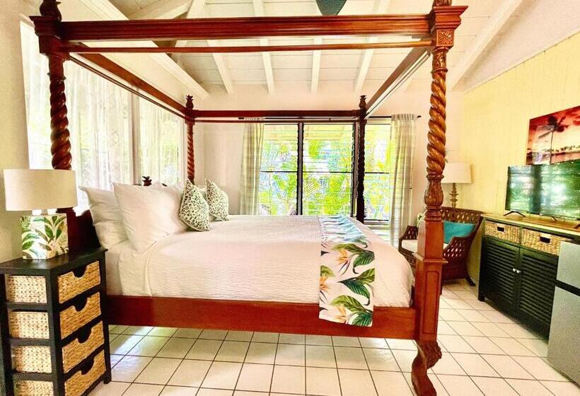 スタンダードルーム, Big Island Retreat