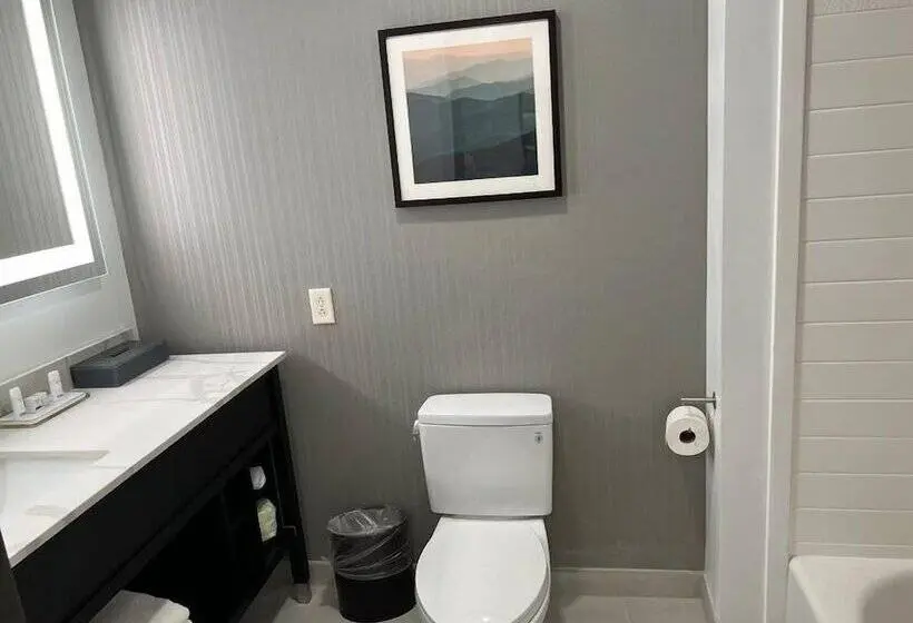 身障者適用スイートルーム, La Quinta Inn & Suites By Wyndham Manchester   Arnold Afb