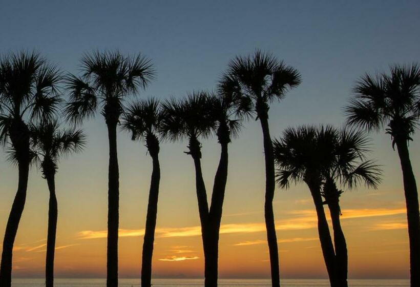 شقة غرفة واحدة, Bay View Inn 202