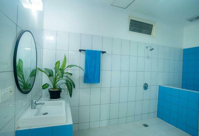 共用房间的床, Mad Monkey Kuta Lombok