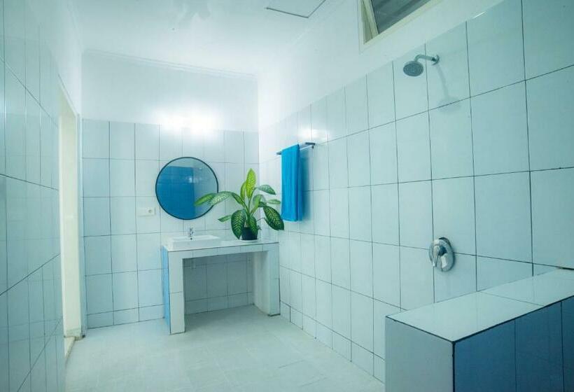 共用房间的床, Mad Monkey Kuta Lombok