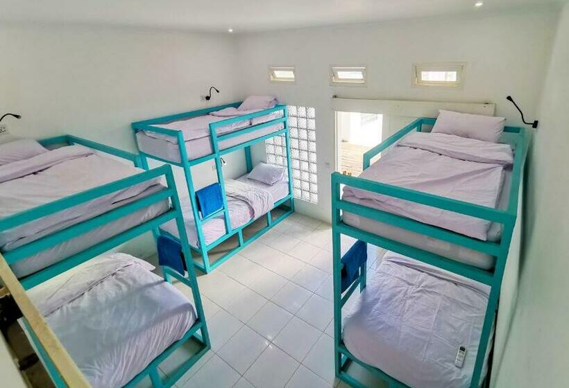 共用房间的床, Mad Monkey Kuta Lombok