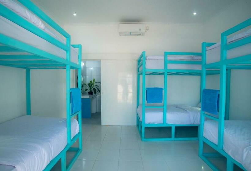 共用房间的床, Mad Monkey Kuta Lombok