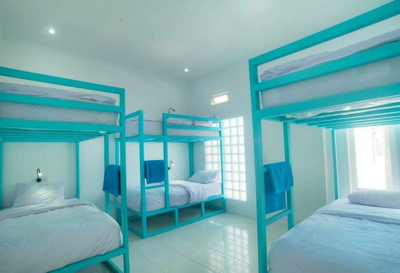 سرير فى غرفة مشتركه, Mad Monkey Kuta Lombok