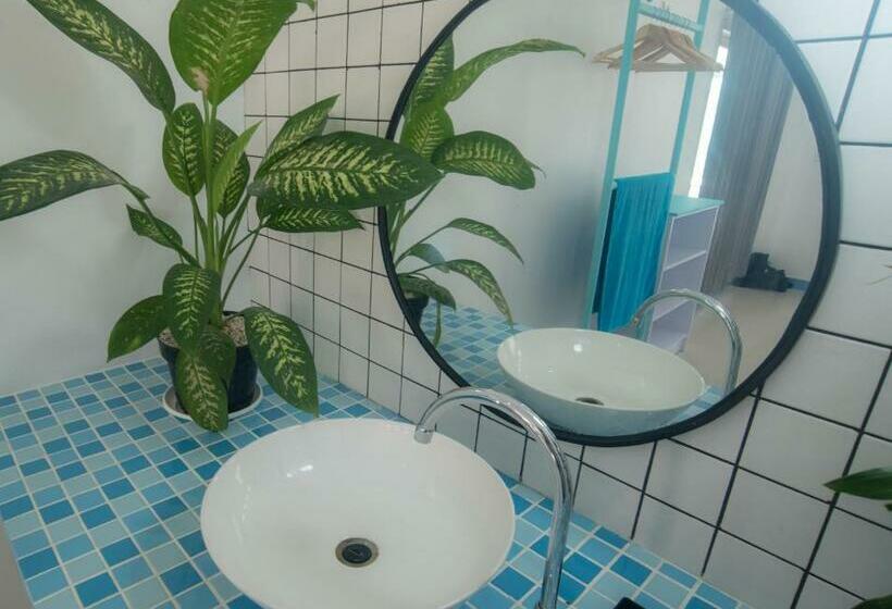 标准间, Mad Monkey Kuta Lombok