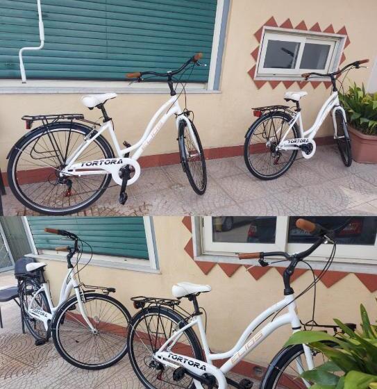 Номер Стандарт, Maria S Home