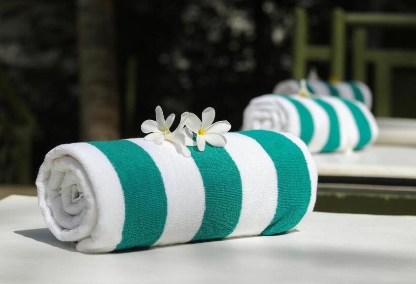 디럭스 룸, Aanandakosha Ayurveda Retreat