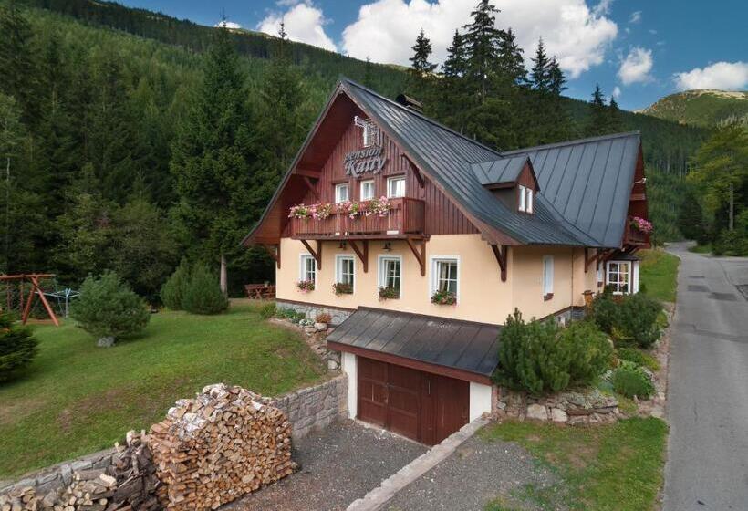 غرفة ديلوكس, Pension Katty