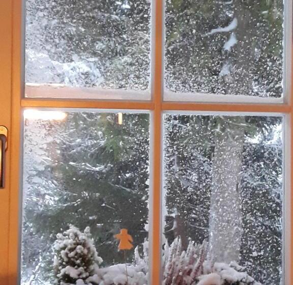 غرفة قياسية مزوَّدة بشُرفة, Pension Katty