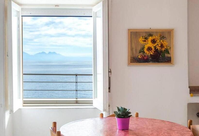 آپارتمان سوپریور 1 خوابه, Residence La Punta