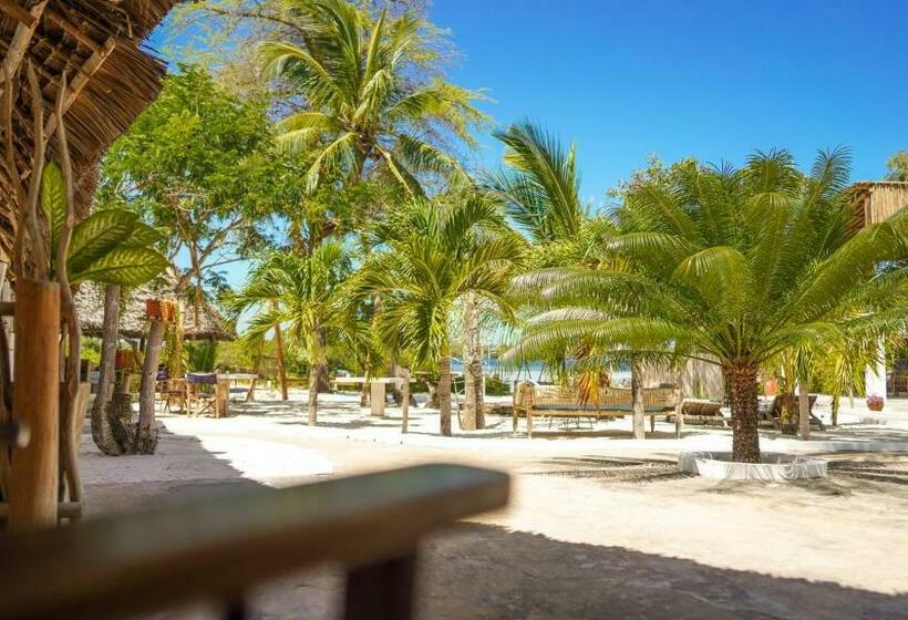 اتاق لوکس, The Mida Creek