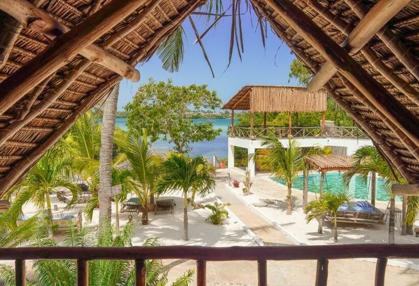 اتاق سوپریور, The Mida Creek