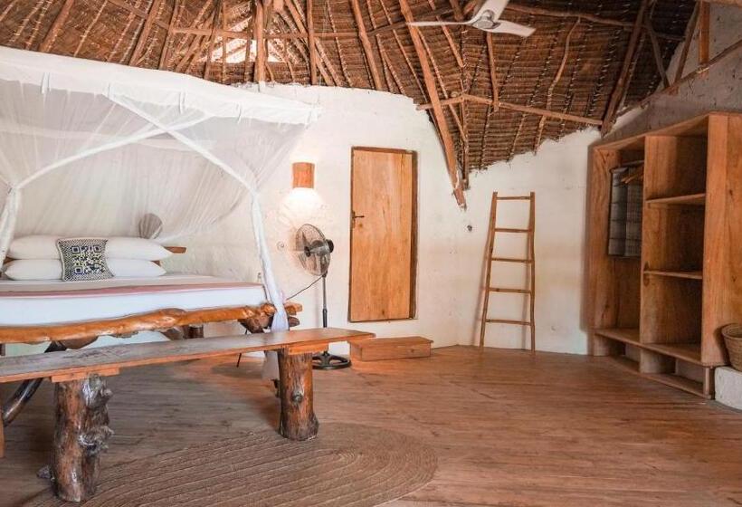 اتاق سوپریور, The Mida Creek