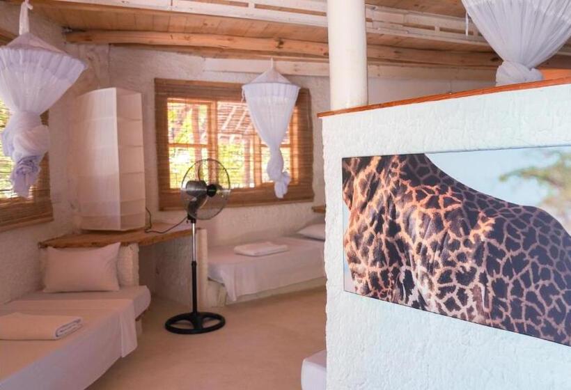 اتاق خانوادگی, The Mida Creek